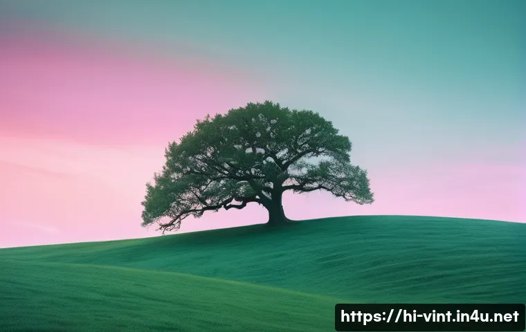 विंटेज कैमरा फिल्म खरीदने की स्मार्ट ट्रिक्स: पैसे बचाएं और क्वालिटी पाएं! 3 빈티지 카메라 필름 구매 팁 관련 이미지 1